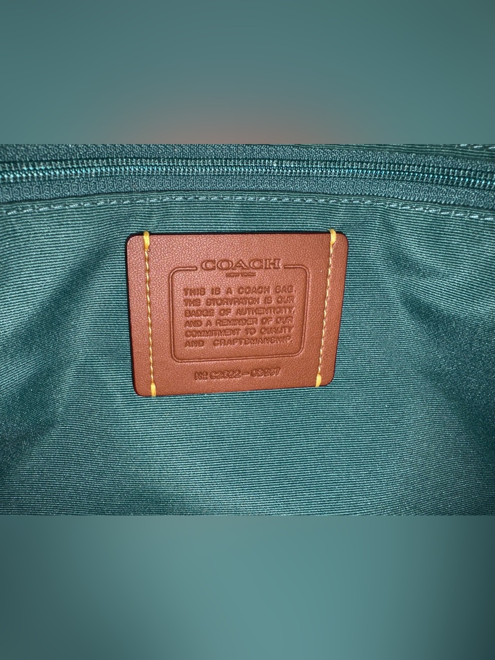 COACH Straw City Tote - Turquoise Multi - Picture 8 of 8